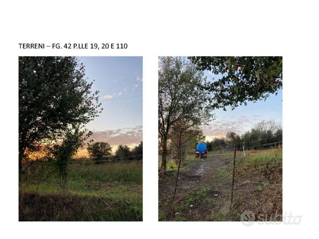Immobile in asta di 12200 m² a Canino - Vista 2