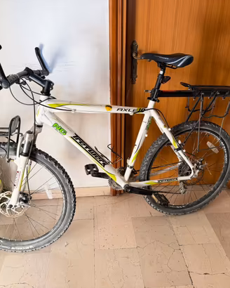 Bici MTB Tretwerk