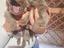 Immagine 6