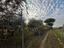 Immagine 26