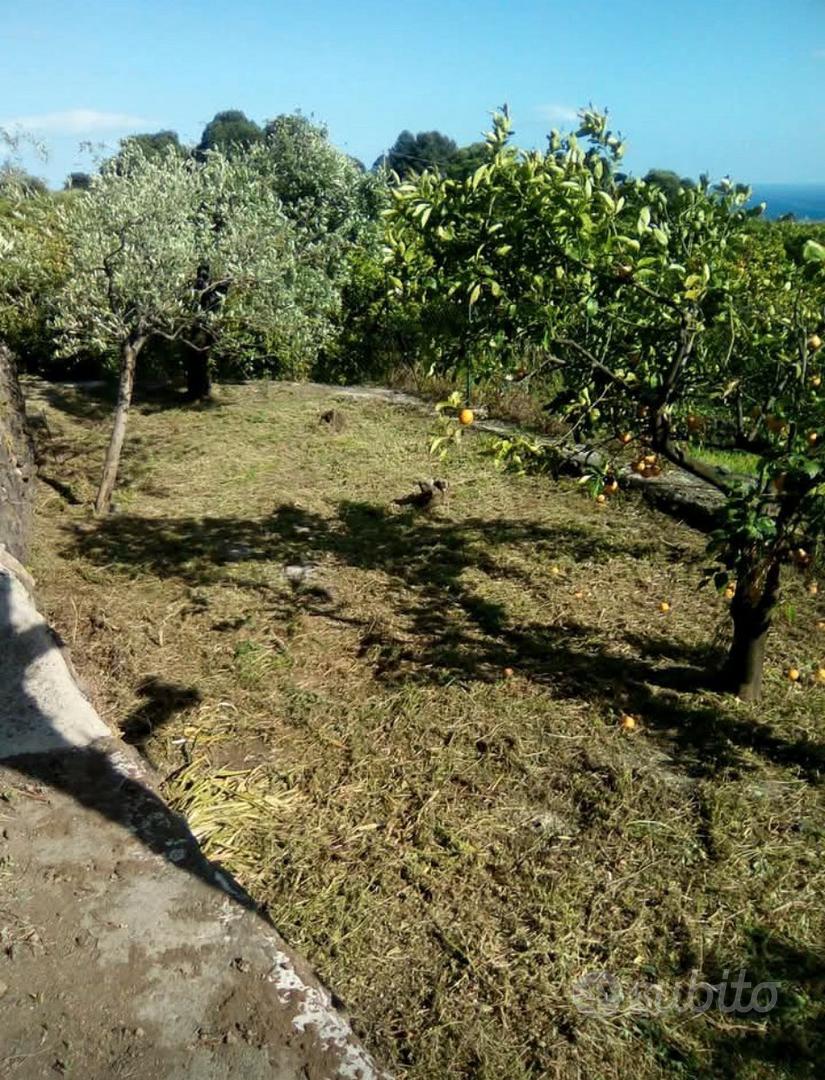 Terreno agricolo - Vista 5