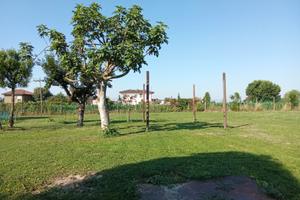 Terreni
