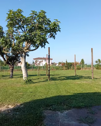 Terreni