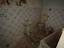 Immagine 15
