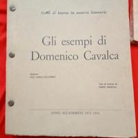 Domenico Cavalca, tesi di laurea 1973/1974