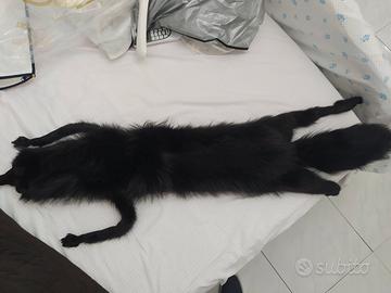 Collo  pelliccia originale