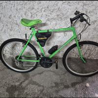 Bicicletta da uomo  prezzo 100€
