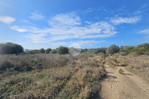 TER. AGRICOLO A QUARTUCCIU