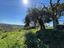 Immagine 19