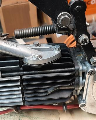 motori moschito