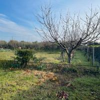 Orto attrezzato 2000 mq - Santarcangelo RN