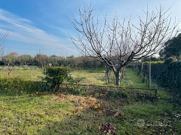 Orto attrezzato 2000 mq - Santarcangelo RN