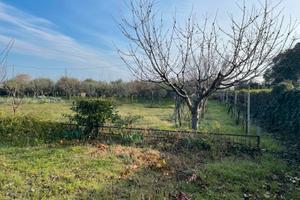 Orto attrezzato 2000 mq - Santarcangelo RN