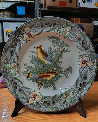 piatto decorativo the Bird of america cedar waxwin