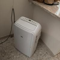 Pinguino condizionatore climatizzatore