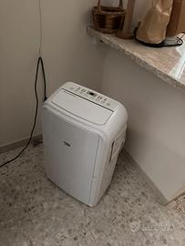 Pinguino condizionatore climatizzatore