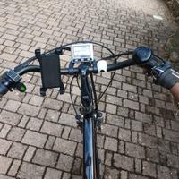 bici pedalata assistita