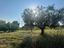 Immagine 21