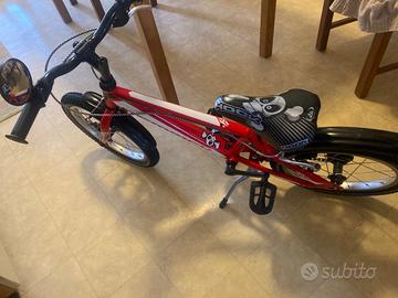 Bicicletta 