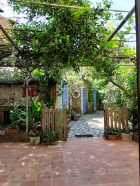 Capraia un' isola speciale da amare