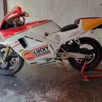 Cagiva mito lucky explorer scamb io