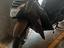 Immagine 4