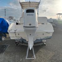 capelli 20 Walkaround deck