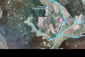 Terreno boschivo 5,7 ettari AMELIA