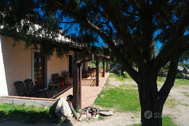 Stazzo in comune di Luogosanto con 3 Ht