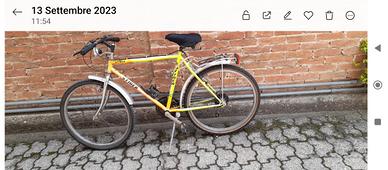 bici mountain bike
