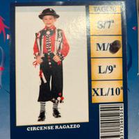 Vestito carnevale veneziano circense