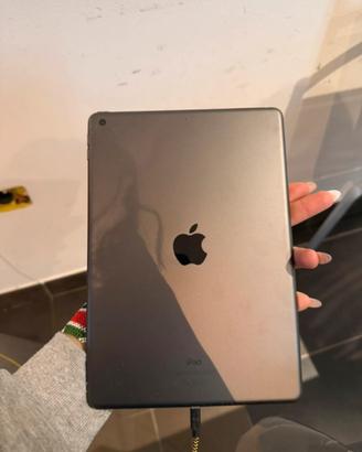 Ipad 9th generazione + apple pencil