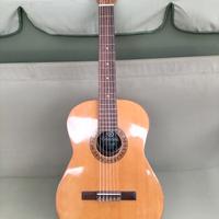 Chitarra Giannini 