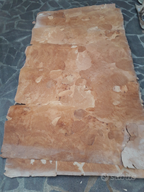 Fogli di radica di legno