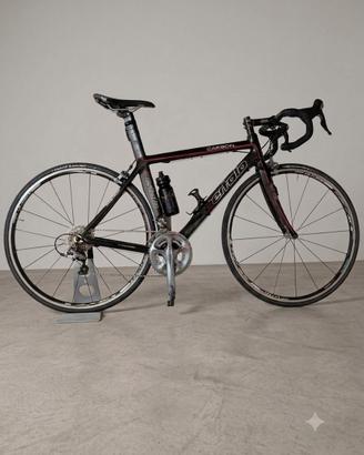 Bici da corsa in Carbonio - Shimano Ultegra (Tg54)