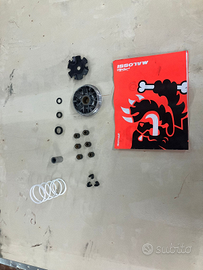 Variatore Malossi multivar 2000 Minarelli