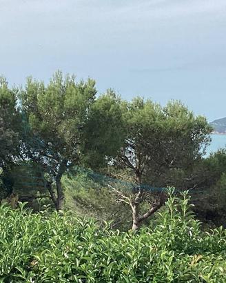 Villa di 277 m² con più di 5 locali e box auto a R