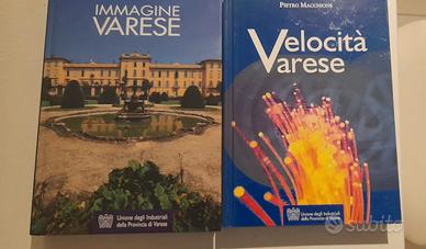 Velocità Varese 2007, immagini Varese 2008 