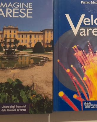 Velocità Varese 2007, immagini Varese 2008 