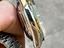 Immagine 6