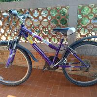 Mountain bike Apollo ruote 24''