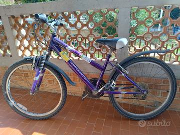 Mountain bike Apollo ruote 24''