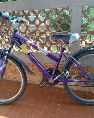 Mountain bike Apollo ruote 24''