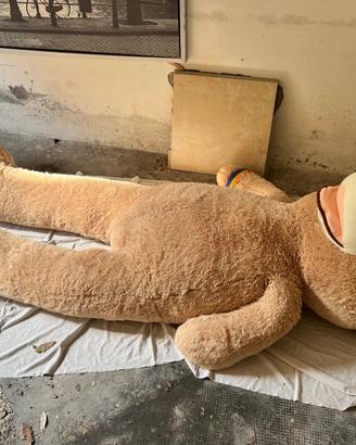 Orso gigante peluche
