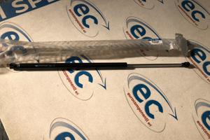 9630698380 AMMORTIZZATORE PORTELLONE PORTELLONE FI