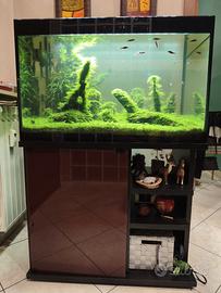 ACQUARIO