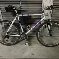 Mountain Bike Cinelli Argento Vivo