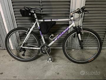 Mountain Bike Cinelli Argento Vivo