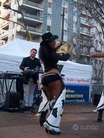 Impianto feste. Capodanno o noleggio