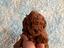 Immagine 15